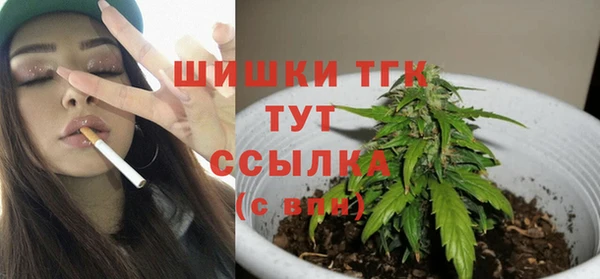 молекула духа Коряжма