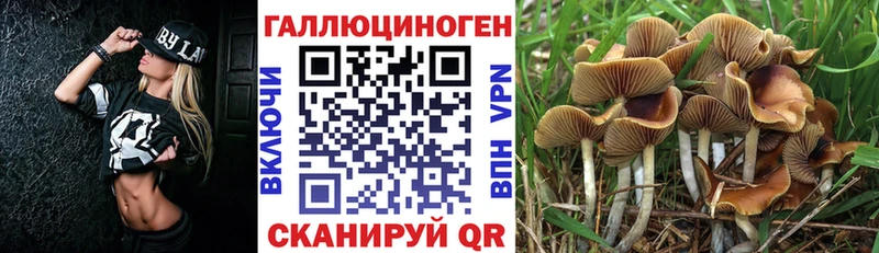 цены наркотик  Козловка  Псилоцибиновые грибы мицелий 