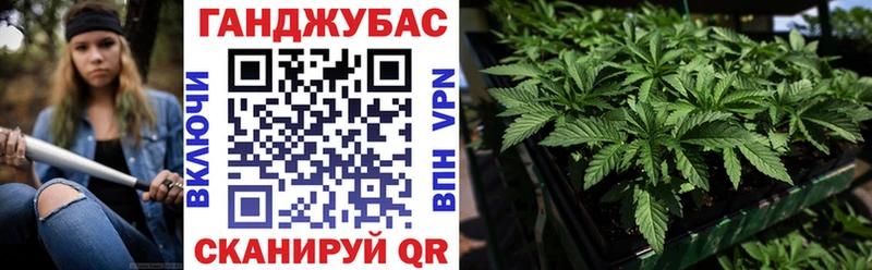 мориарти какой сайт  Козловка  Канабис SATIVA & INDICA 
